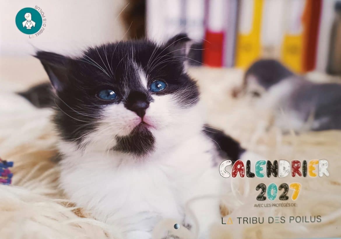 Le calendrier 2027 de la Tribu des Poilus vous attend !